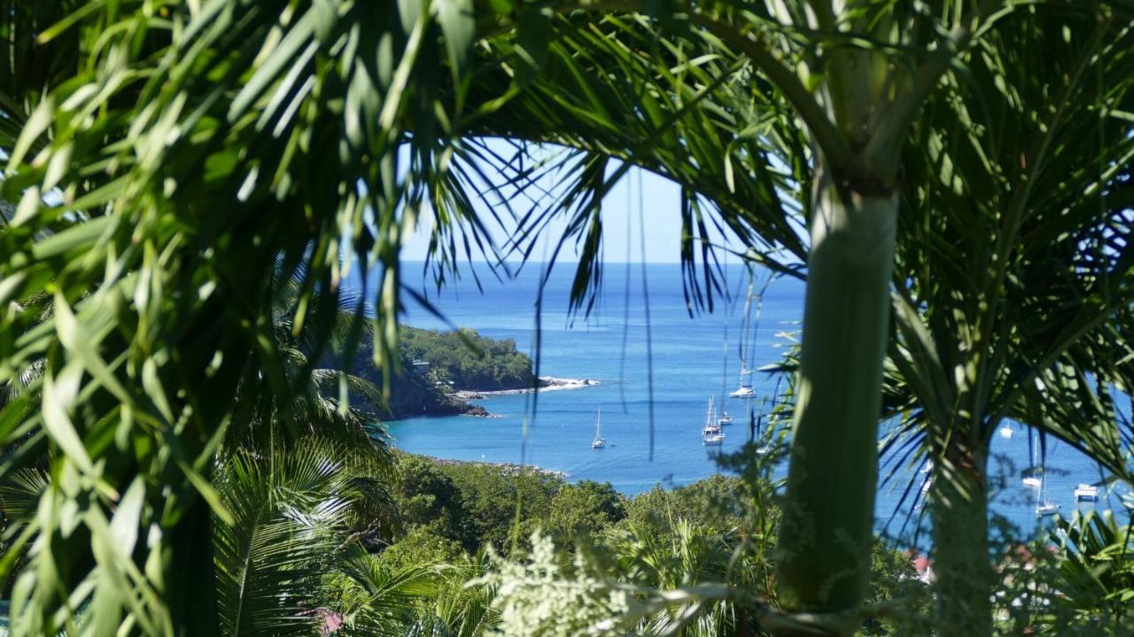 O Coeur De Deshaies Appartements Grande Anse Et Amandiers Екстер'єр фото