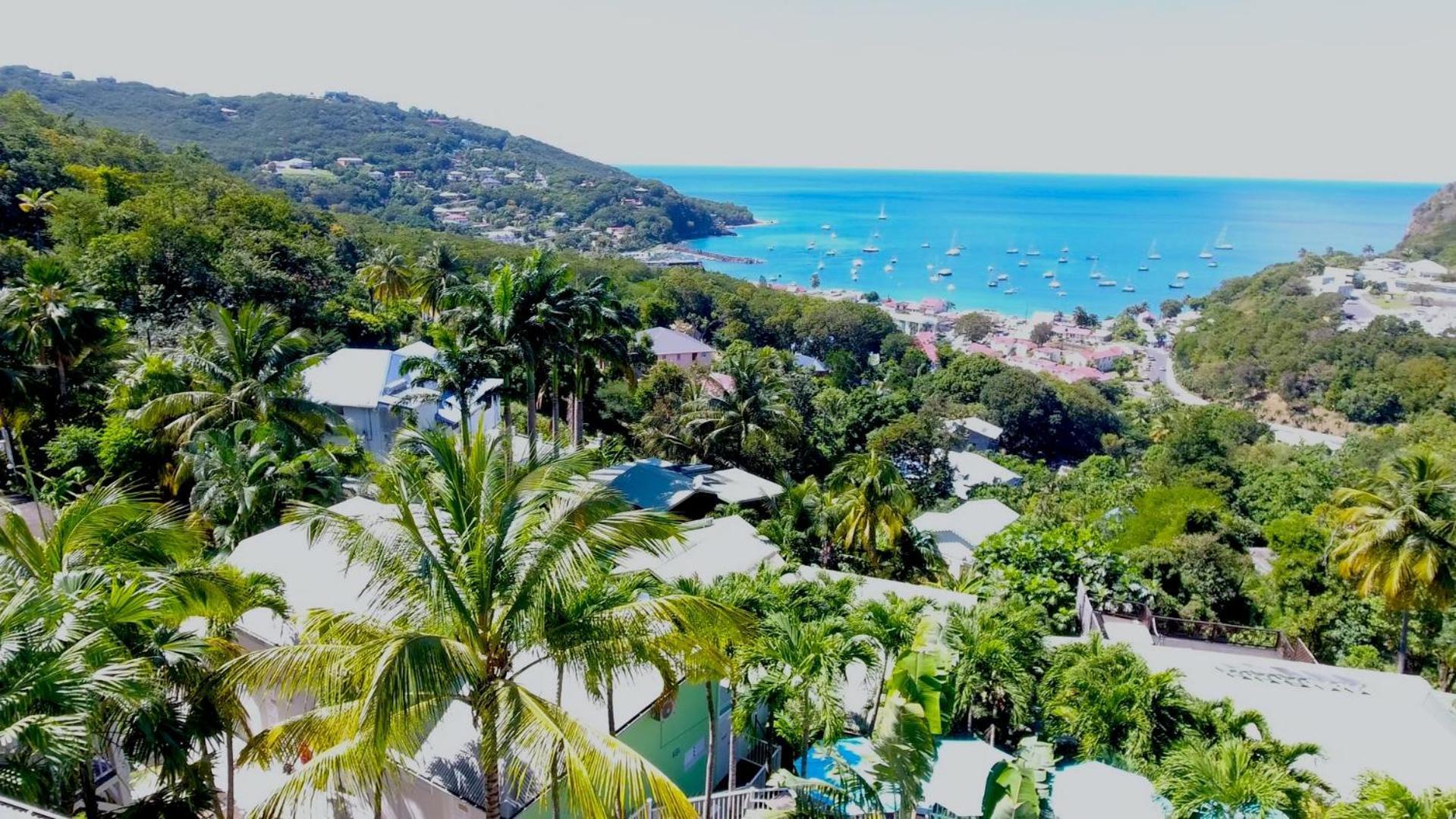 O Coeur De Deshaies Appartements Grande Anse Et Amandiers Екстер'єр фото