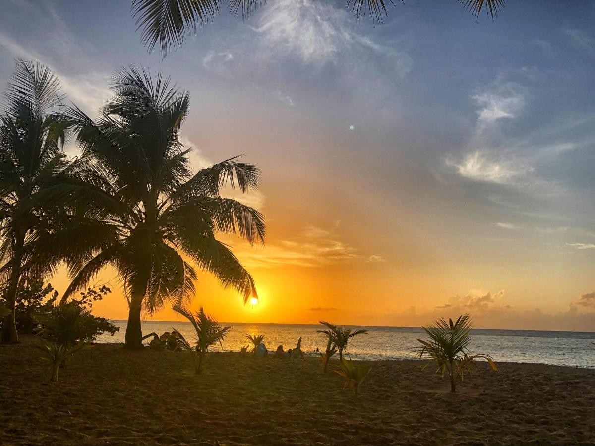 O Coeur De Deshaies Appartements Grande Anse Et Amandiers Екстер'єр фото