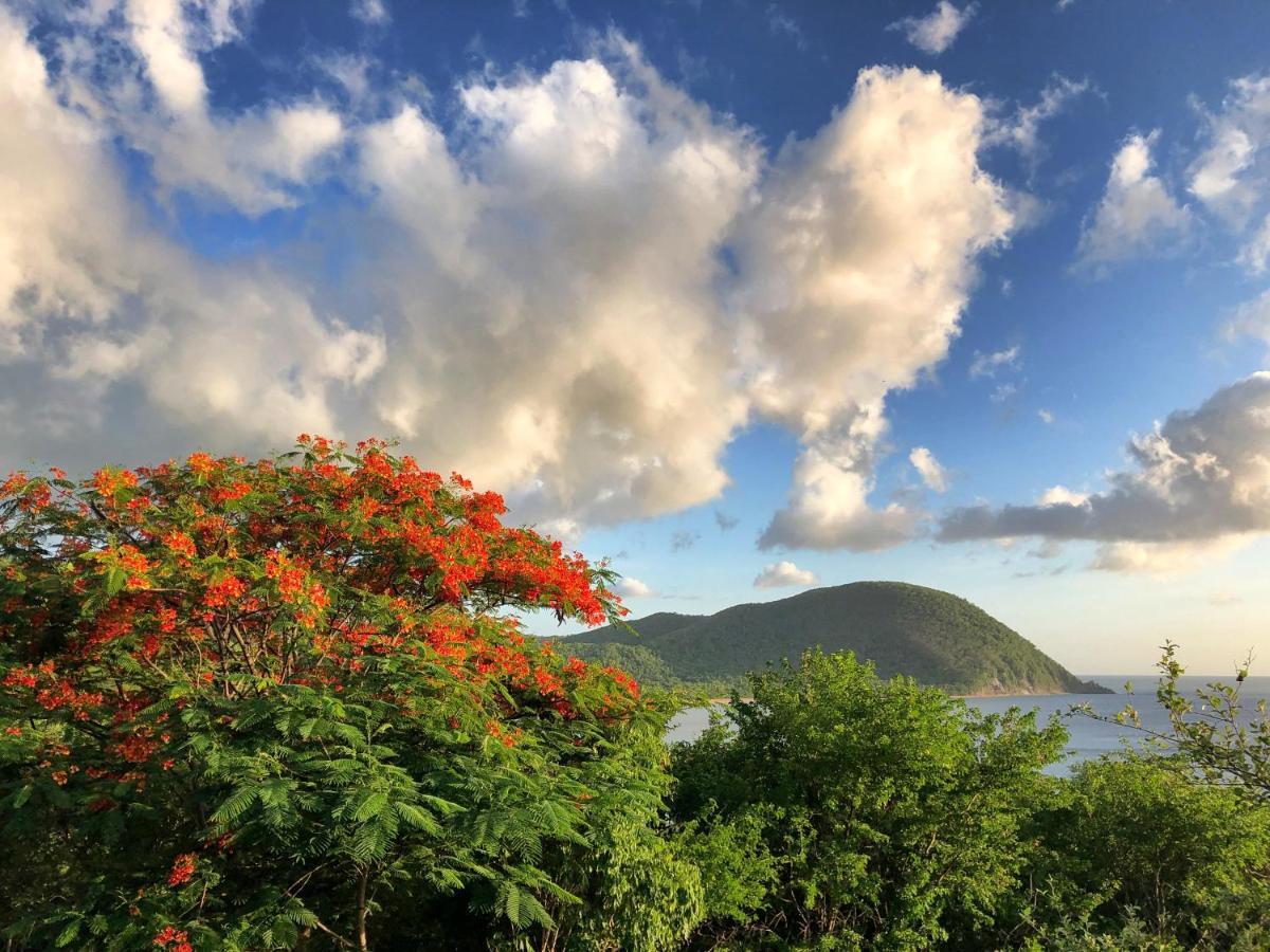 O Coeur De Deshaies Appartements Grande Anse Et Amandiers Екстер'єр фото
