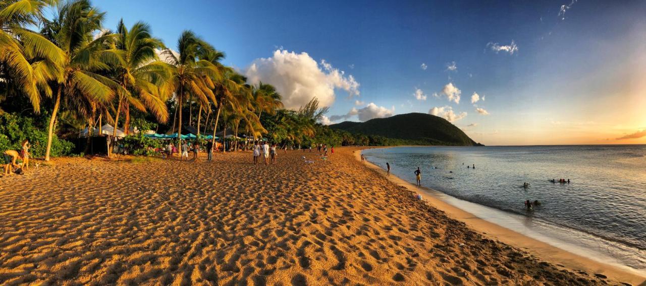 O Coeur De Deshaies Appartements Grande Anse Et Amandiers Екстер'єр фото